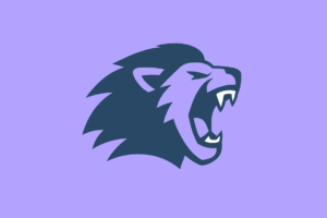 Beast Mode Analytics Logo