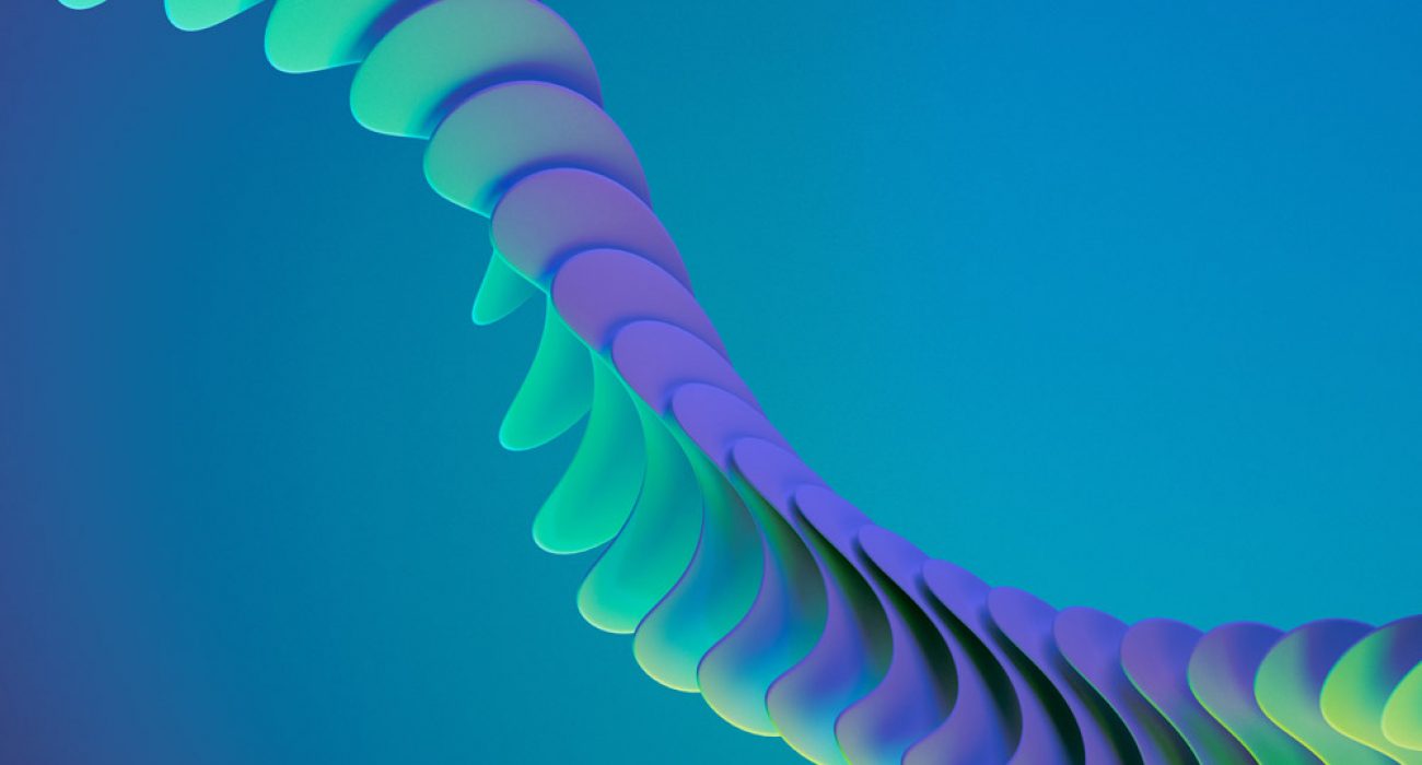 3d-spine