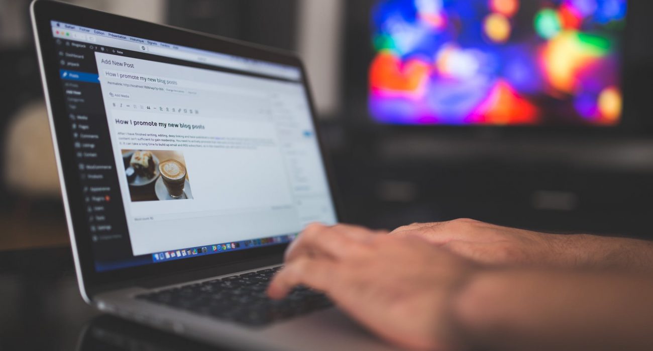 link building services